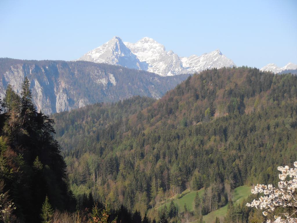 Penzion Pr' Betel Jesenice Εξωτερικό φωτογραφία